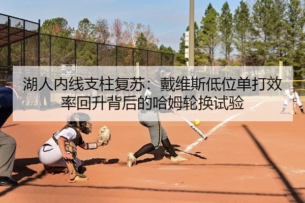 湖人内线支柱复苏：戴维斯低位单打效率回升背后的哈姆轮换试验